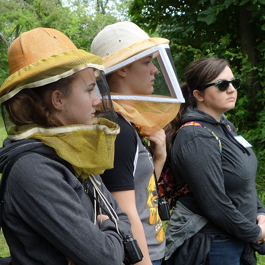 students observing honey bees at the ecological center