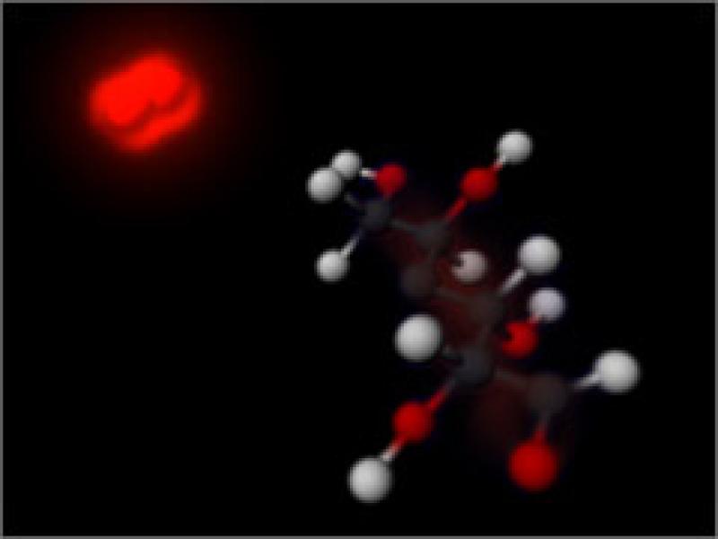 Molecular Visualization