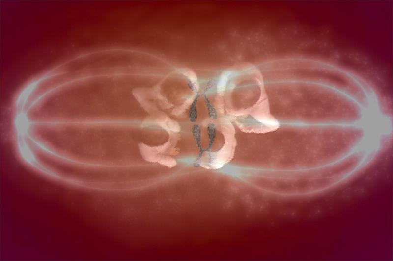 Dancing DNA Dancing DNA still 3