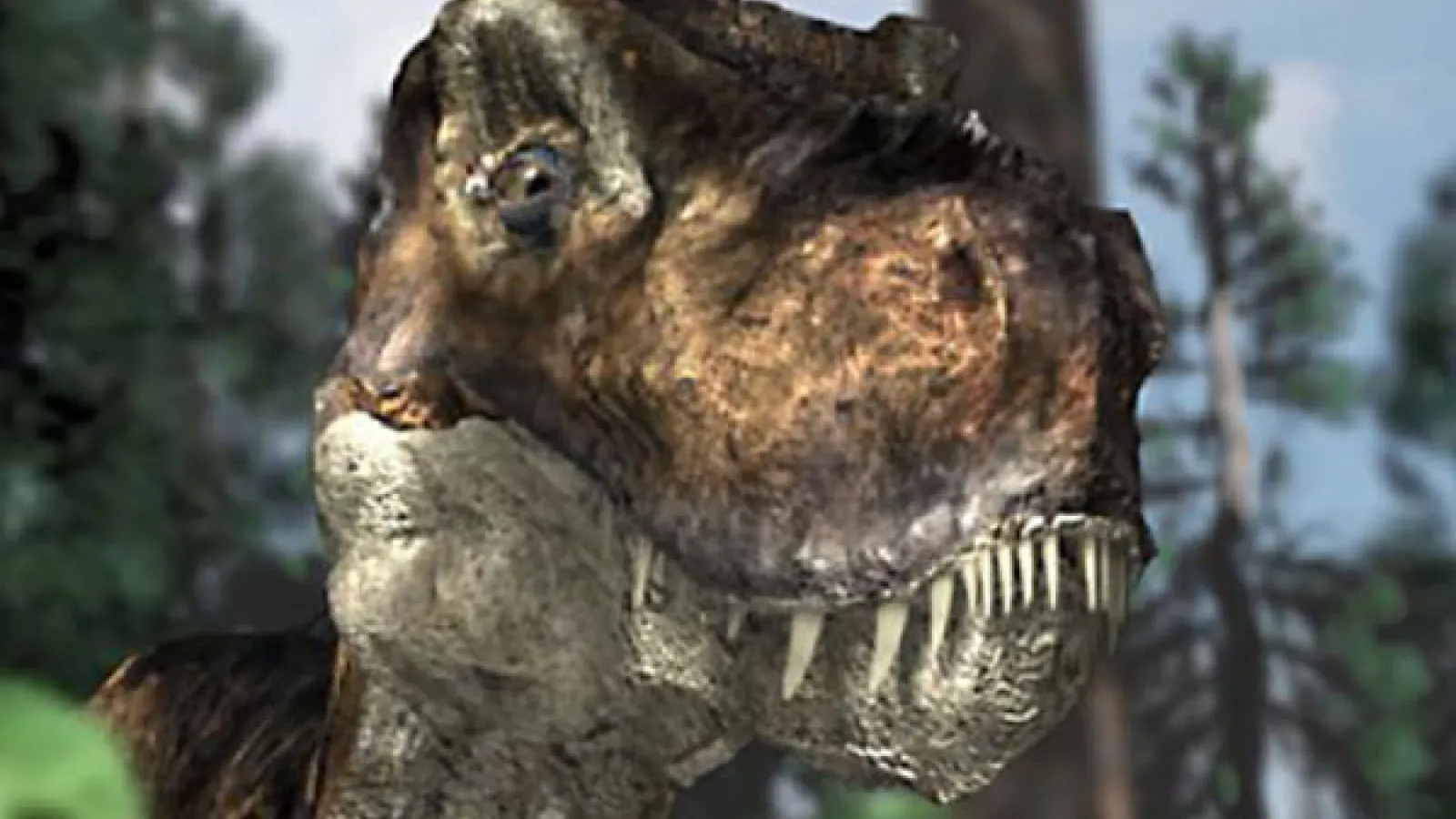 jane dinosaure