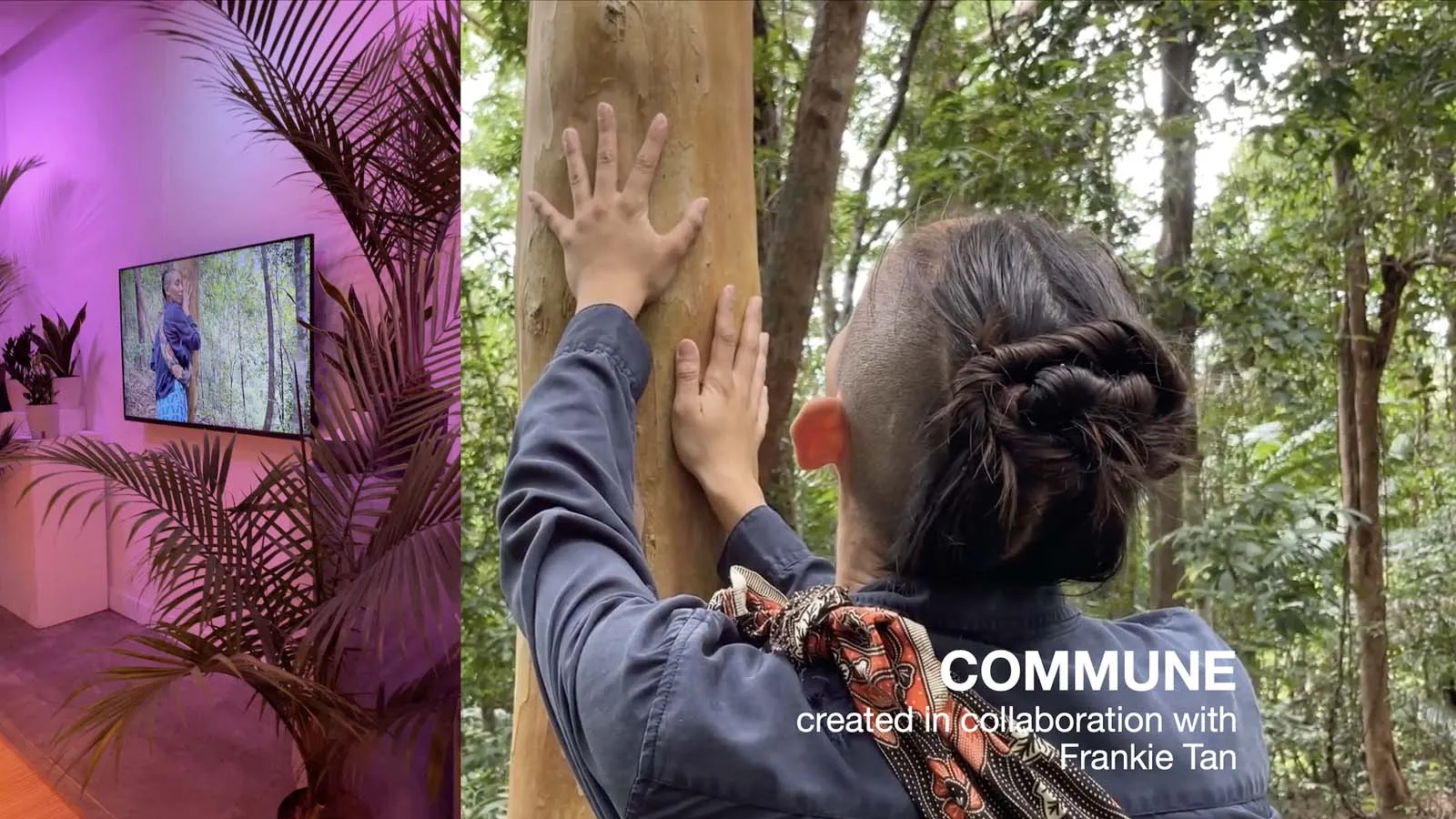 Collage of photos with a person with a partially shaved head touches their hand up the tree of a trunk 