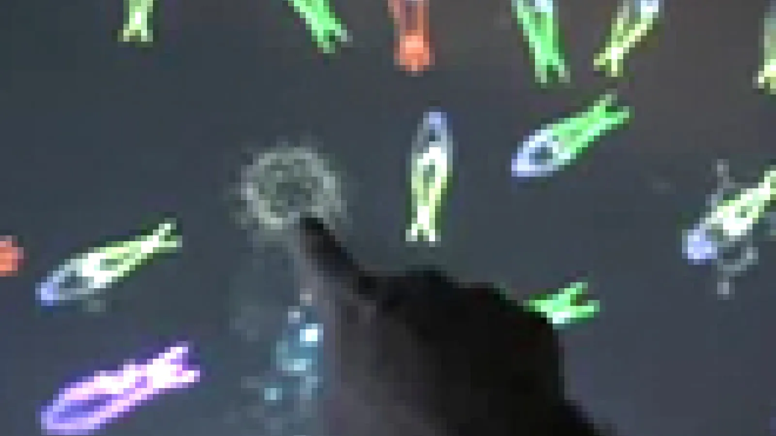 Bio Unbound Thumbnai