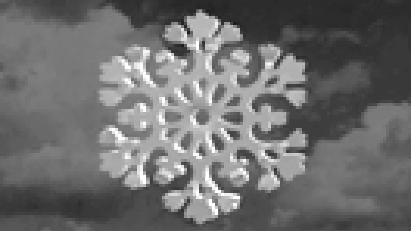 A Snowflake