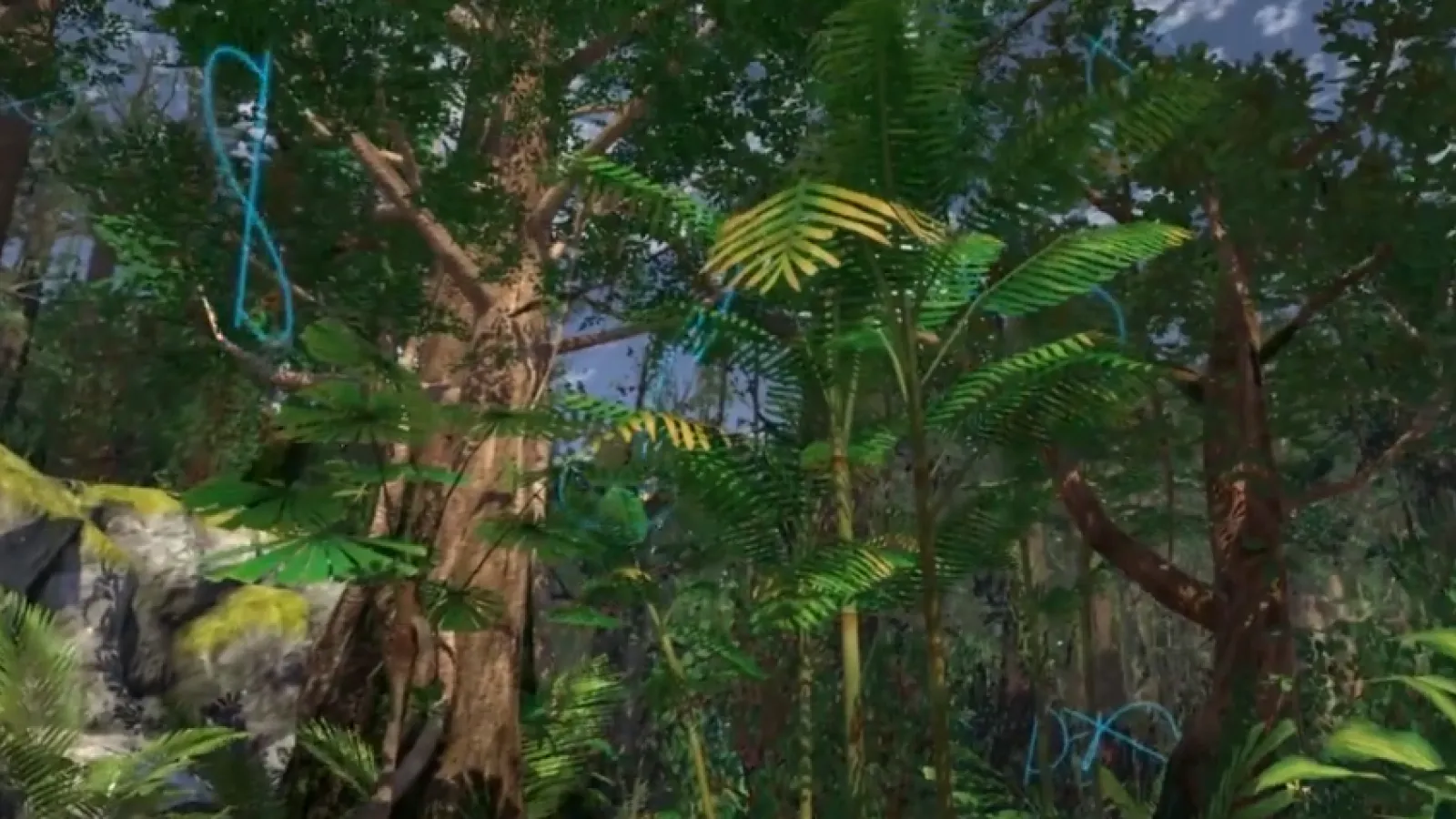 VR Environment