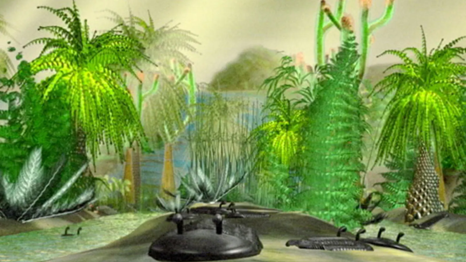 A story based on the adventures of the filmmaker's relative, Dr. Nathan S. Hale