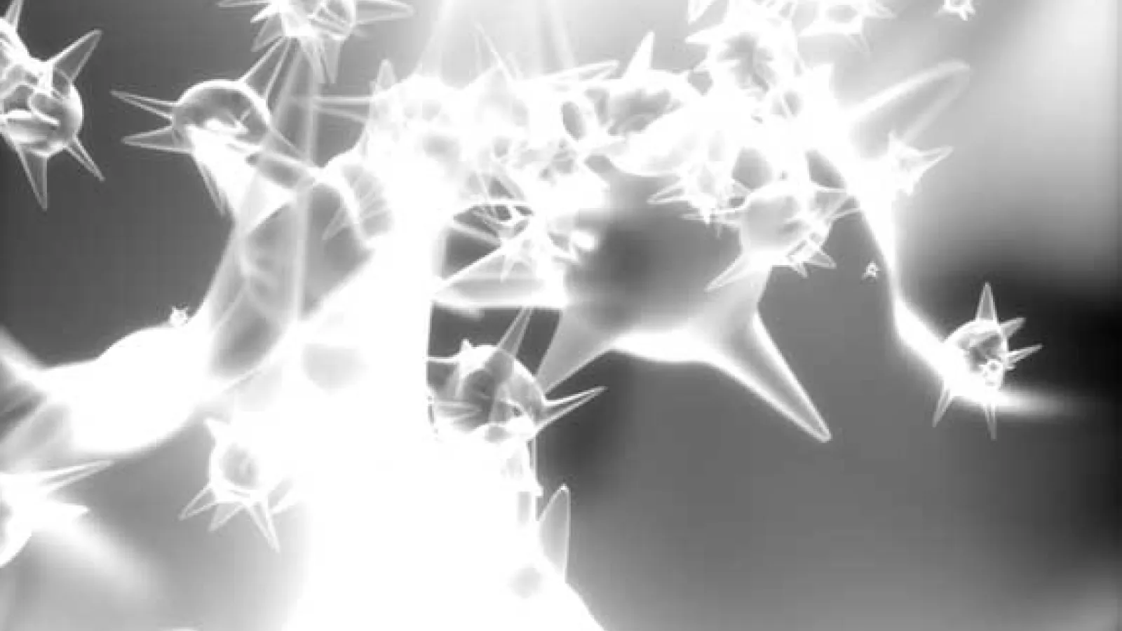 Molecule Visualizaiton