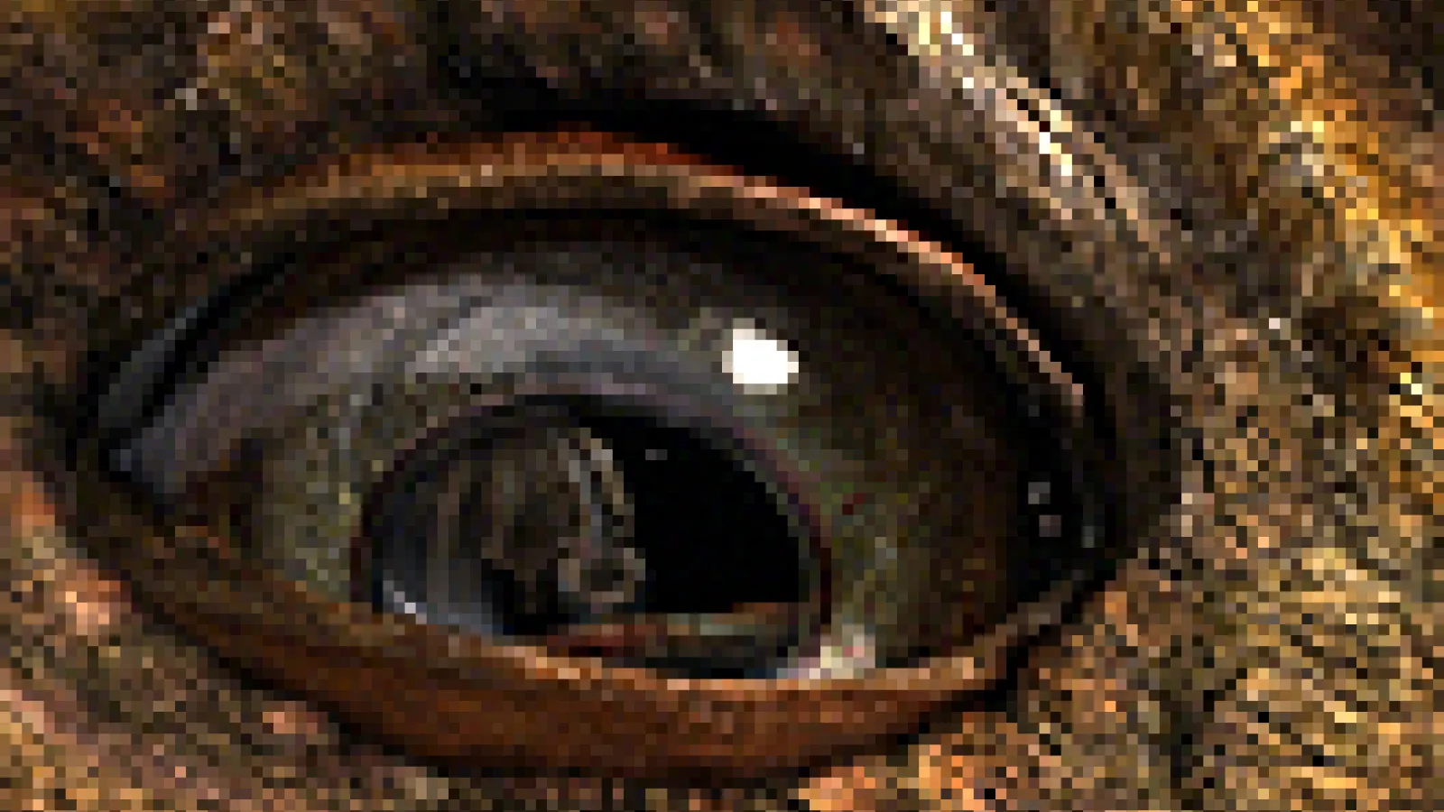 Digital dinosaur eye
