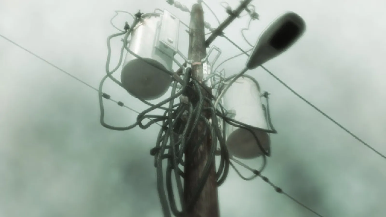 Wires around telephone poll