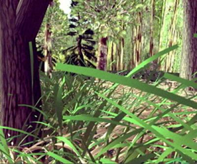 Still from film of a forest scene with abundant trees and other plantlife