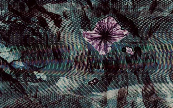 A dark green, brown, and blue textural image with a purple abstract bloom in the upper right hand corner.