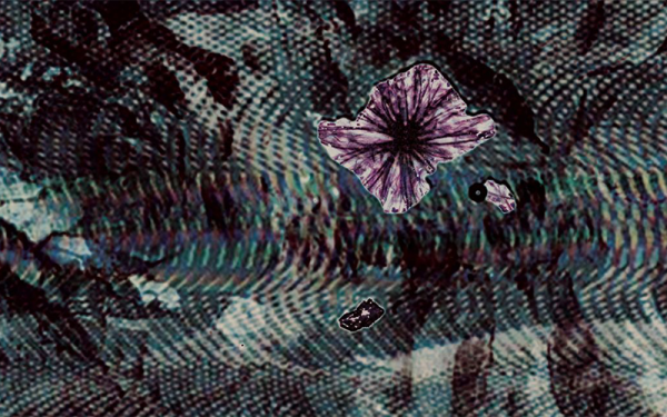A dark green, brown, and blue textural image with a purple abstract bloom in the upper right hand corner.