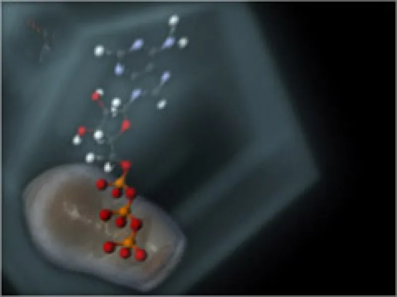 ATP Visualization