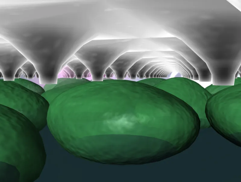 Nanotech Application