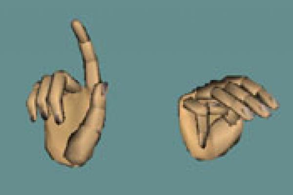 Fingerspelling Thumb