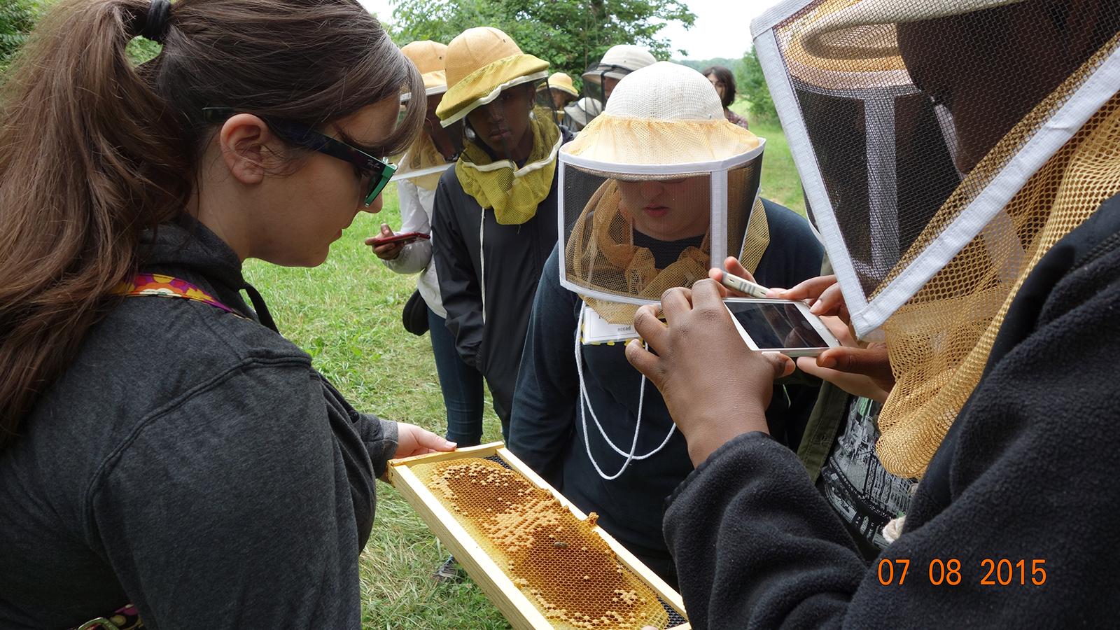 Group viewing honeycomb at the Stratford Ecological Center