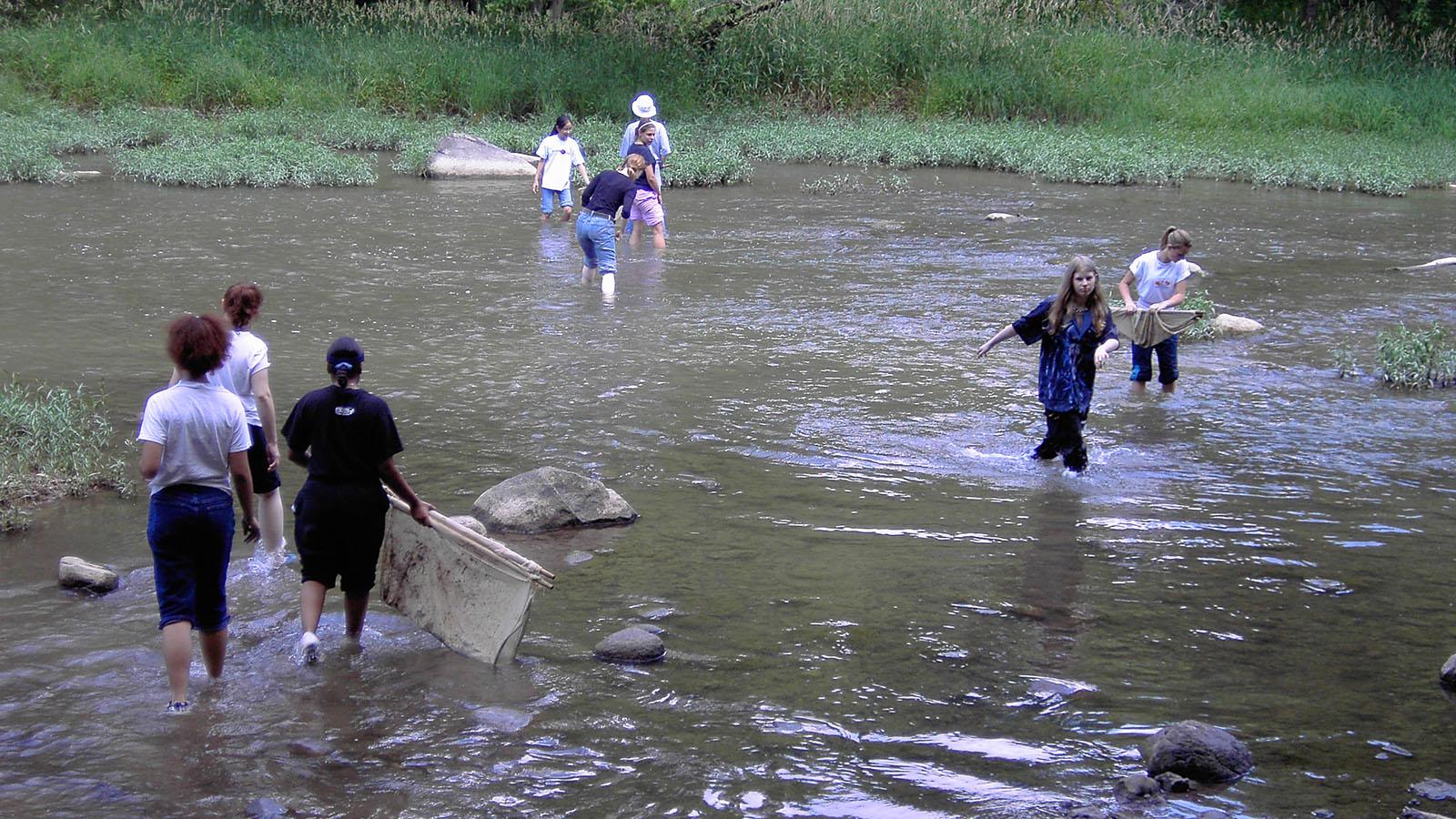 students collecting samples in creek