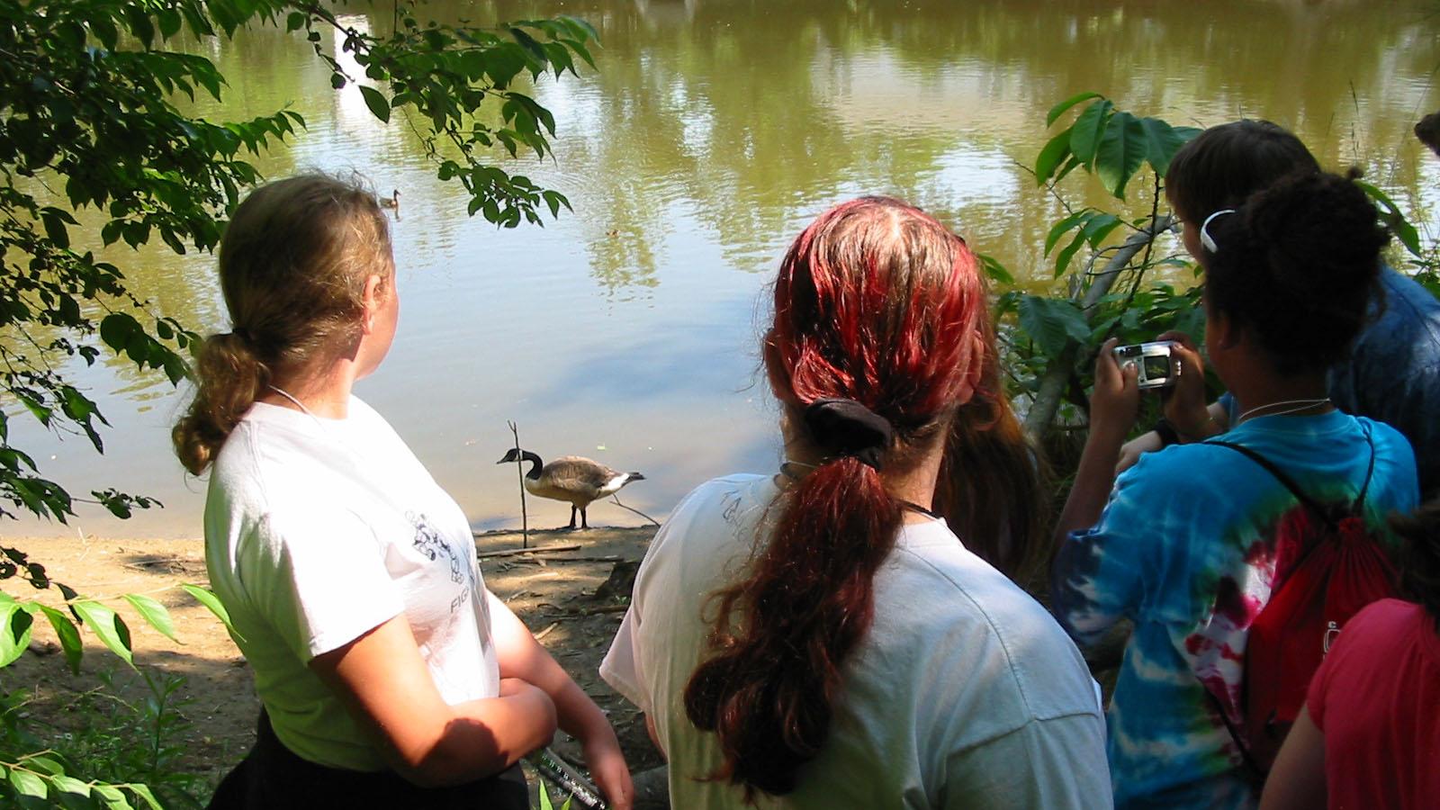 students observing a Canada goose near the river's edge