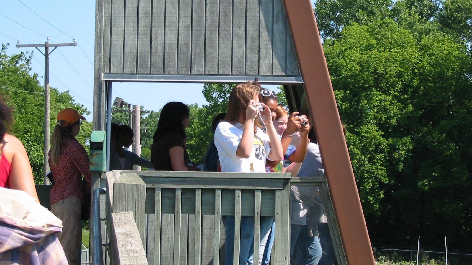 students taking photos and looking out from an observation deck at the wetlands research park