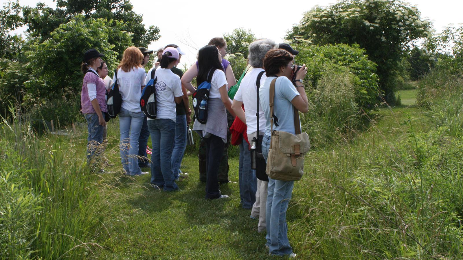 students and mentors observing the prairie