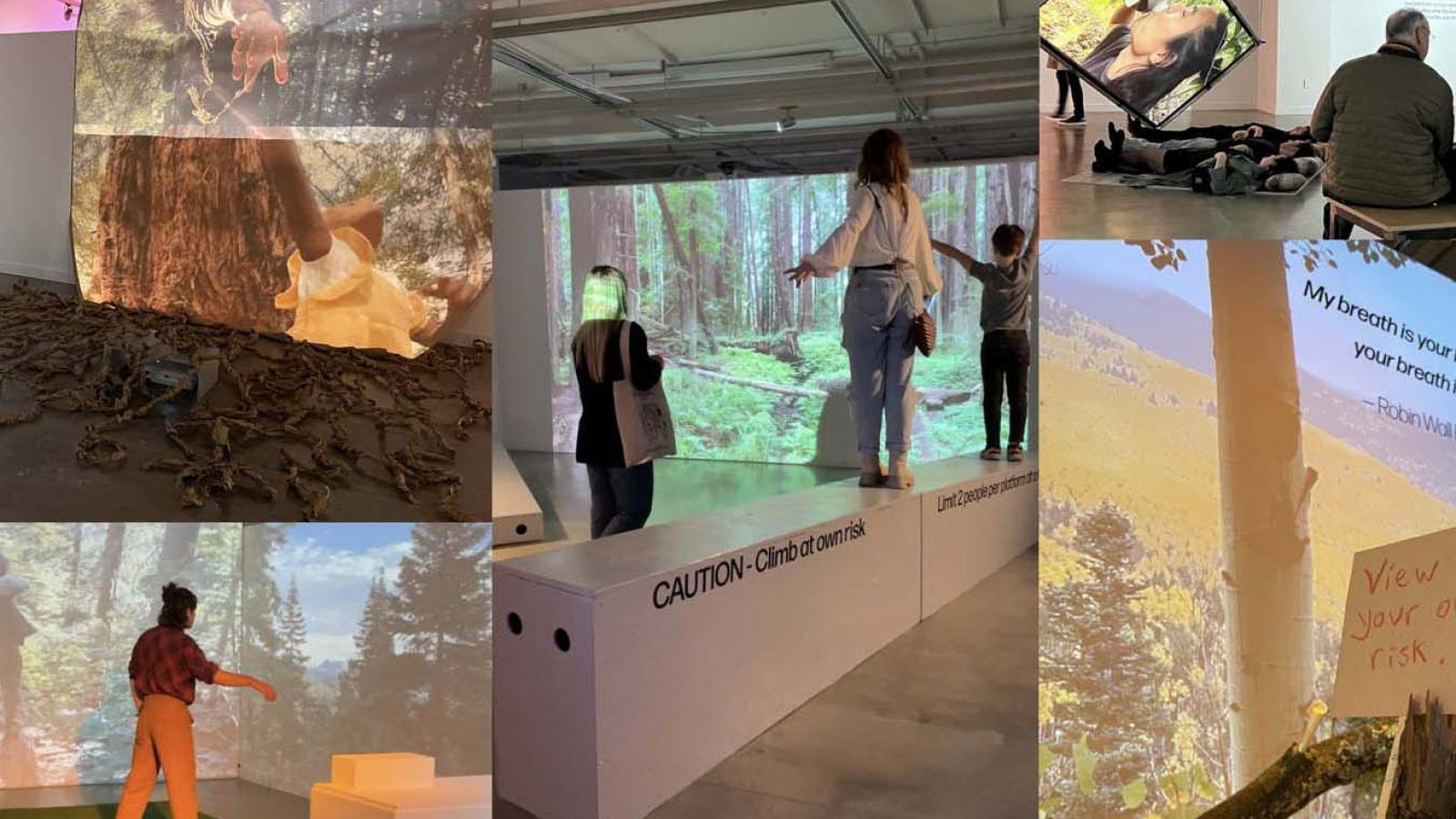A collage of phots of people engaging with an interactive landscape installation